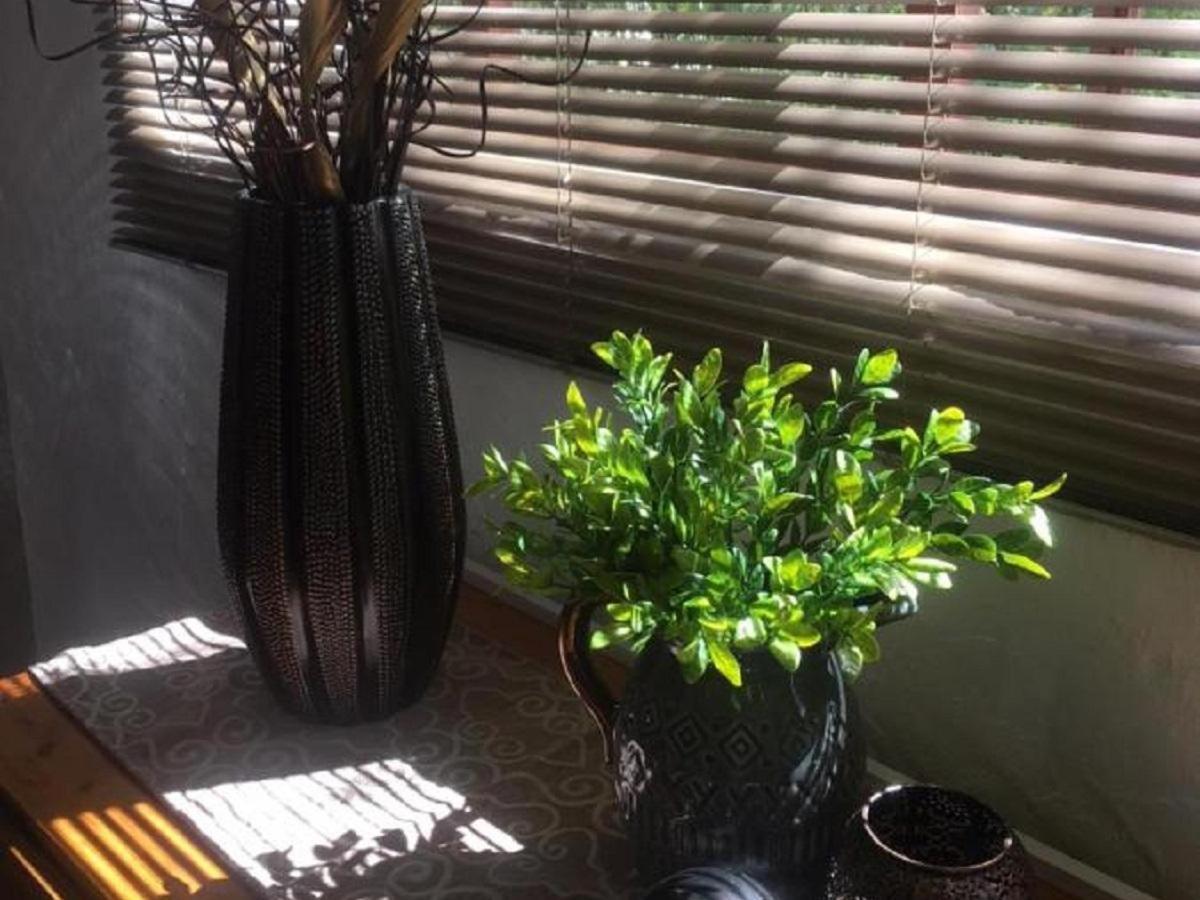 Geluksdam Guest House Olifantshoek 외부 사진